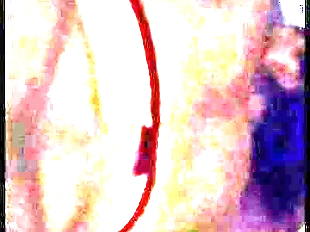CARIBBEAN FRECKLED BOOTY SQUIRTLE 1 min 38 sec HD